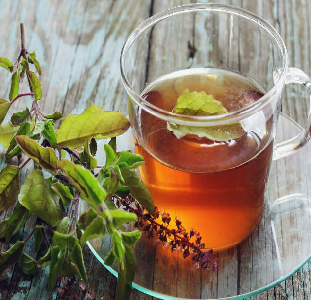 ginger tulsi tea