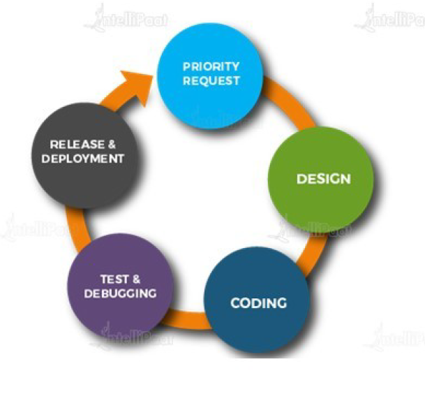 Understanding the Software Development Process Lifecycle